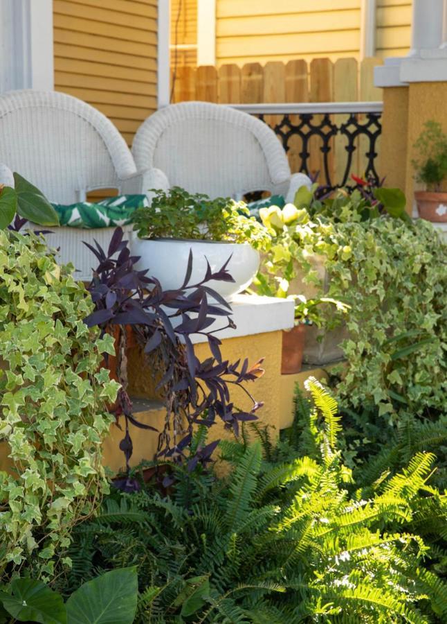 Auld Sweet Olive Bed And Breakfast New Orleans Esterno foto
